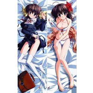  Japanese Anime Body Pillow Anime Ef   A Fairy Tail of the 