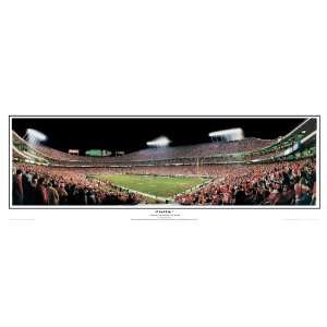  Kansas City Chiefs 35 Yard Line   Arrowhead Stadium (2003 