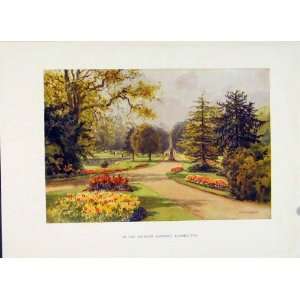  Jephson Gardens Leamington Painting By Haslehust C1920 