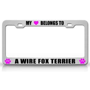  MY HEART BELONGS TO A WIRE FOX TERRIER Dog Pet Steel Metal 