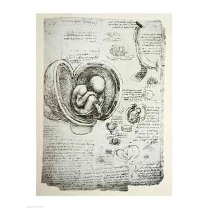  The Human Fetus in the Womb   Poster by Leonardo Da Vinci 