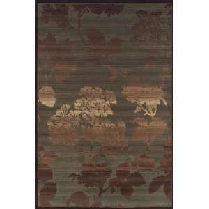  NEW LARGE Area Rugs Modern Transitional DURABLE Carpet 