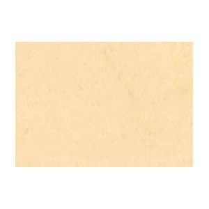   Vision Soft Pastel   Box of 5   Gold Ochre 482 Arts, Crafts & Sewing