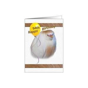  94th Birthday Card with Cattle Egret Card Toys & Games