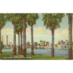   Postcard   View from Davis Island   Tampa Florida 