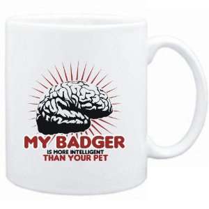   Badger is more intelligent than your pet  Animals