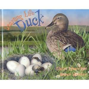  Starting Life Duck [Hardcover] Claire Llewellyn Books