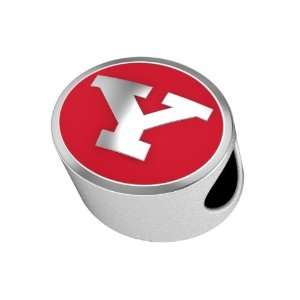 Youngstown State Penguins College Bead Charm Fits Most Pandora Style 
