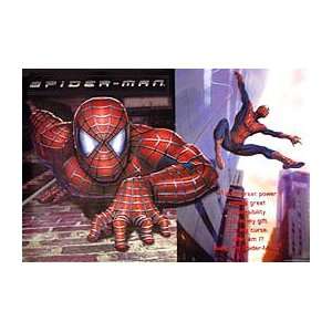  SPIDER MAN (ADVANCE STYLE F REPRINT) Movie Poster