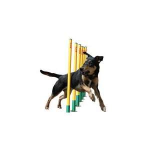  The Company Of Animals Clix Agility Weave Poles Pet 