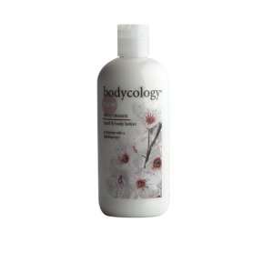 bodycology Hand & Body Lotion, Cherry Blossom, 12 Fluid Ounces Bottles 