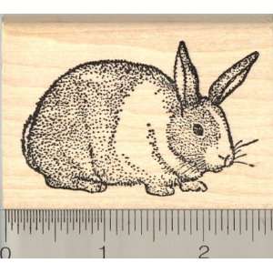 Dutch Rabbit Rubber Stamp Arts, Crafts & Sewing