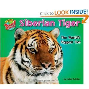  Siberian Tiger The Worlds Biggest Cat (More Supersized 