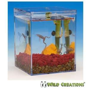  Wild Creations   Classic with Frogs Toys & Games