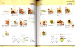 Basic Book for Wool Felt   Japanese Craft Book  