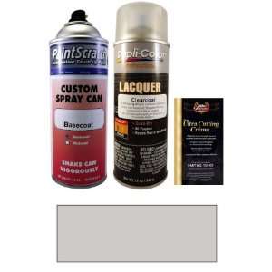  12.5 Oz. Alpine Silver Metallic Spray Can Paint Kit for 