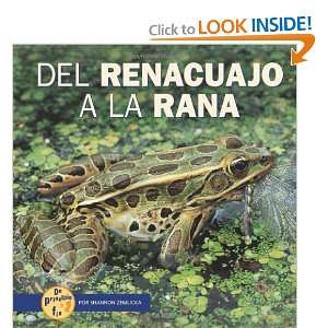  Del Renaucajo a La Rana/from Tadpole to Frog (De Principio 