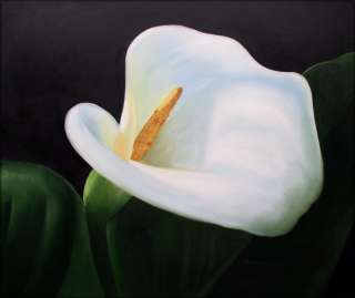 High Q. Hand Painted Oil Painting Single White Calla Lily 24”x20 