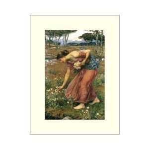  Narcissus Poster Print