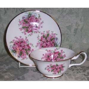  Sheltonian English Bone China Tea Cup & Saucer Set   Pink 
