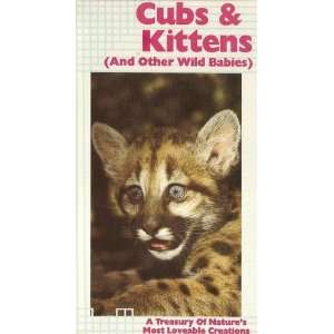  Cubs & Kittens (And Other Wild Babies) Movies & TV