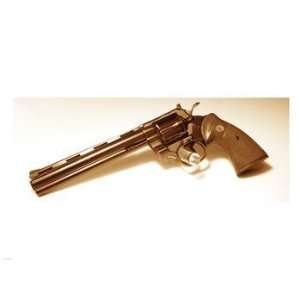   Colt Target Python 24.00 x 18.00 Poster Print