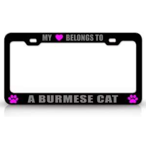  MY HEART BELONGS TO A BURMESE Cat Pet Auto License Plate 