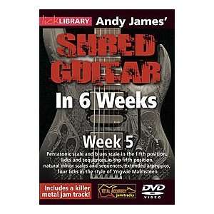  Andy James Shred Guitar in 6 Weeks Musical Instruments
