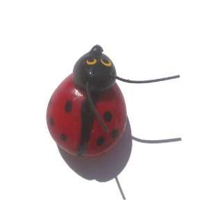  12 Red Lady Bug Magnets 