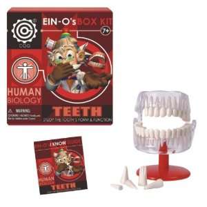 EIN Os Teeth Box Kit by TEDCO Toys & Games