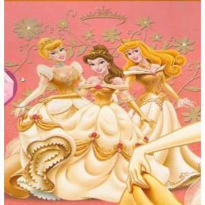  Disney Princess enchanted tales Raschel Royal Plush Twin 