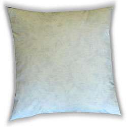 Feather and Down 22 inch Decorative Pillow Inserts (Set of 2 