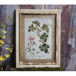  Shabby Cottage Chic Floral Print Wall Art B175