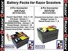 RAZOR 24VOLT BATTERY PM QUAD MX350 400 PR DUNEBUGGY DRIFTER / CHARGER 