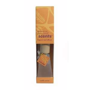  Pearlessence 00460 VA Personal Scents Vanilla Amber 