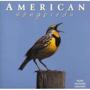  American Songbirds CD   recorded Exclusively in Forests 