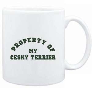    Mug White  PROPERTY OF MY Cesky Terrier  Dogs