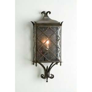Currey and Company 5345 1 Light Maurice Wall Sconce, Old Iron Finish 