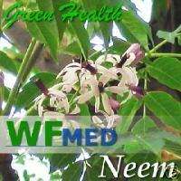 8oz Neem Oil   100% Pure Organic Shipping Free  