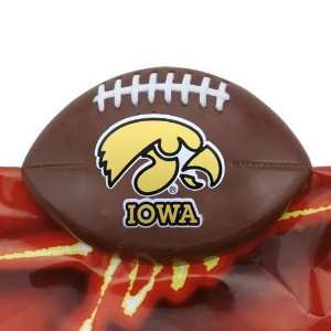  Iowa Hawkeyes Sports Chip Clip