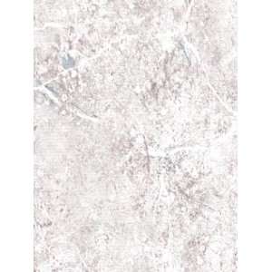   Patton Wallcovering Sponge Painted textures 8997871