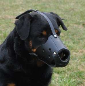 The Leader Dog Leather Muzzle Professional Pick  