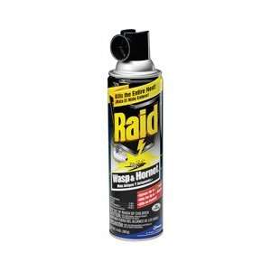 com Raid® Wasp & Hornet Killer, 14 Ounce (94898JD) Category Insect 
