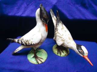Vintage Italian Majolica Cantagalli Birds  
