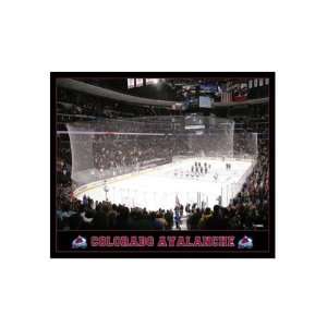  NHL Colorado Avalanche Arena 16x20 Canvas Art Sports 