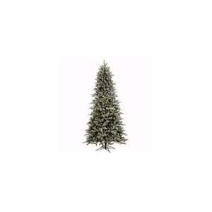  Vickerman 18128   12 x 66 Frosted Frasier Fir 1,650 Clear 