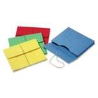  complete client file protective flap with elastic cord closure secure
