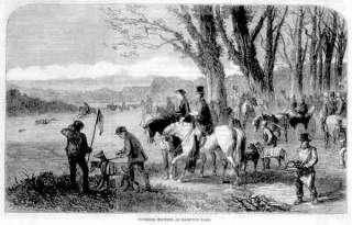 HARE COURSING Greyhounds. Lady riding sidesaddle.1860  