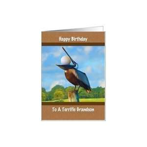  Birthday, Grandson, Pelican, Golf Ball Card Toys & Games