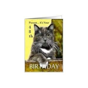    Birthday ~ Age Specific 48th ~ Cat in a box Card Toys & Games